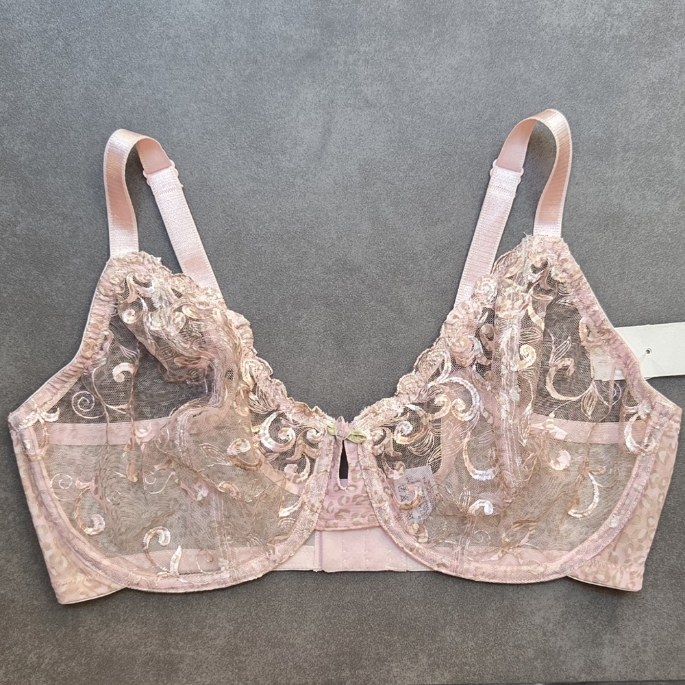 NWT Whimsy Honolulu Sheer Plunge Underwire Bra 40DD